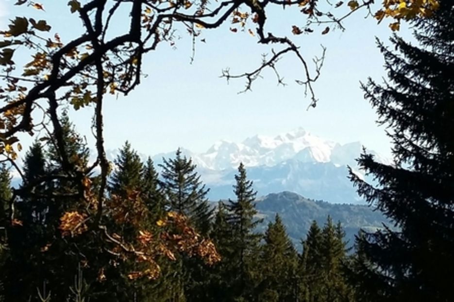 Mont-blanc depuis les Voirons