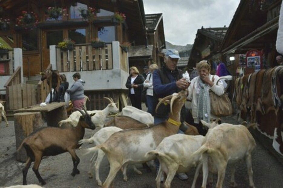 Les Lindarets - Morzine